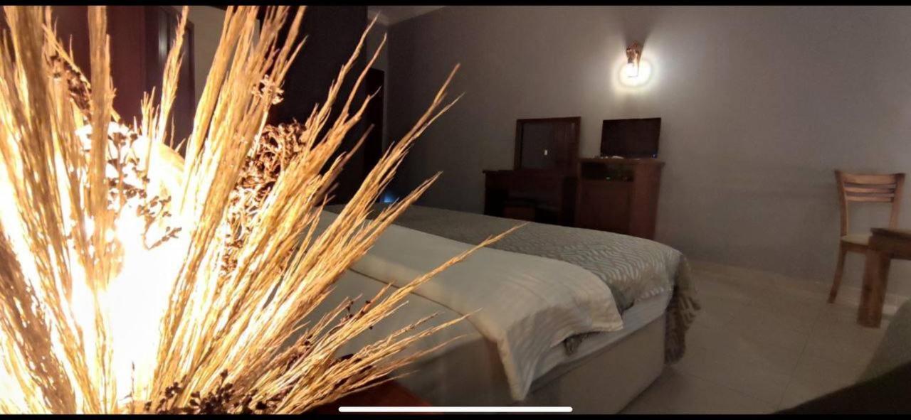 Bacahan Hotel Altınoluk Zewnętrze zdjęcie